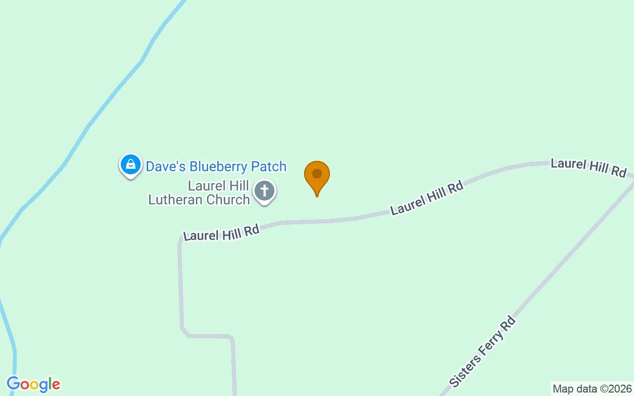 1.5 Acres in Clyo - Effingham County, GA in Effingham County, GA