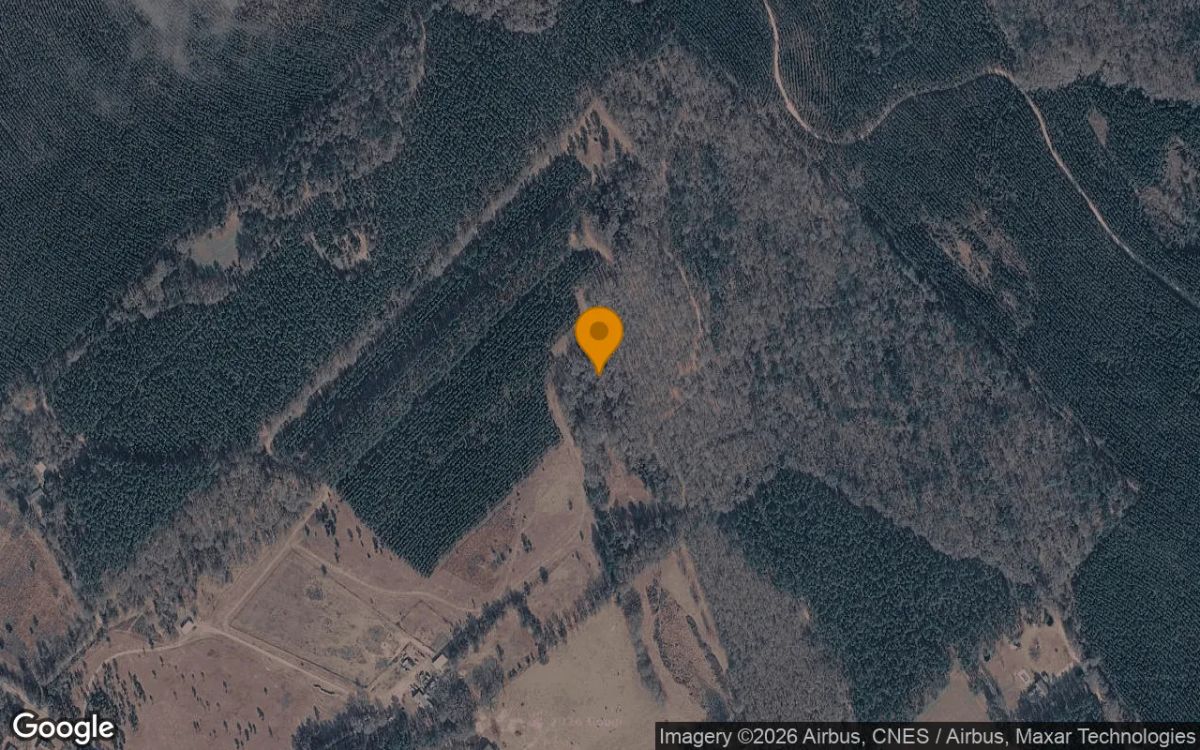 74.65 Acres in Eastman - Dodge County, GA - Main image