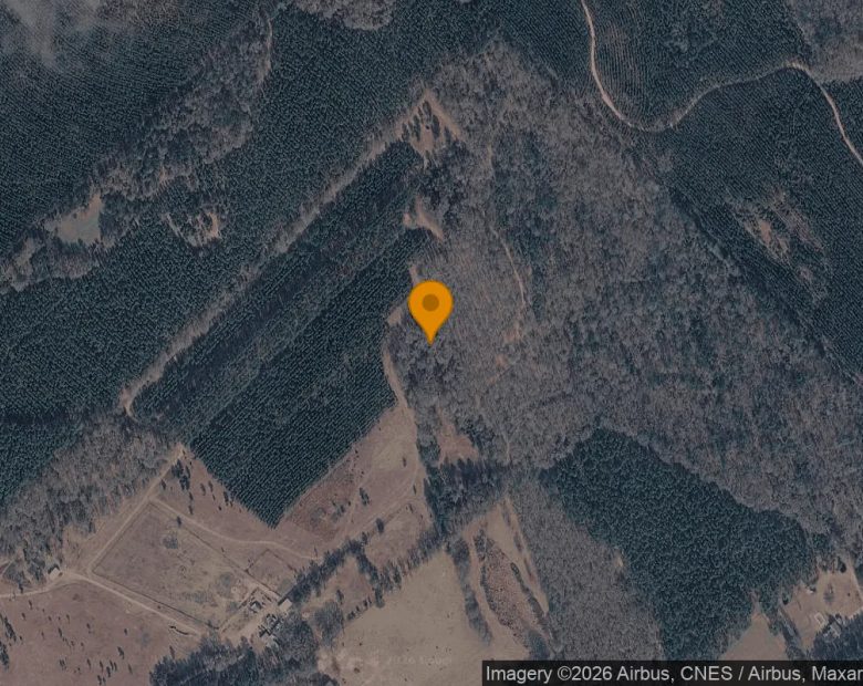 74.65 Acres in Eastman - Dodge County, GA in Dodge County, GA