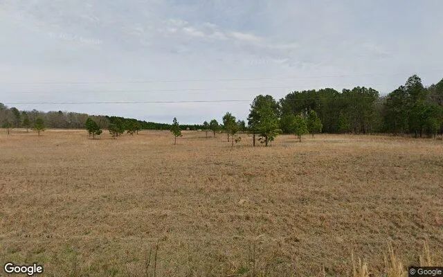 74.65 Acres in Eastman - Dodge County, GA in Dodge County, GA