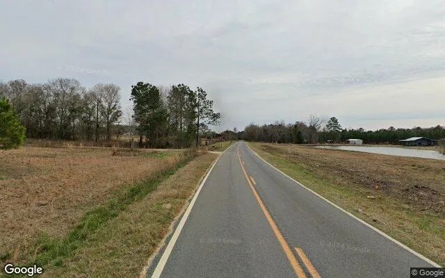 Decorative background for 74.65 Acres in Eastman - Dodge County, GA image 6