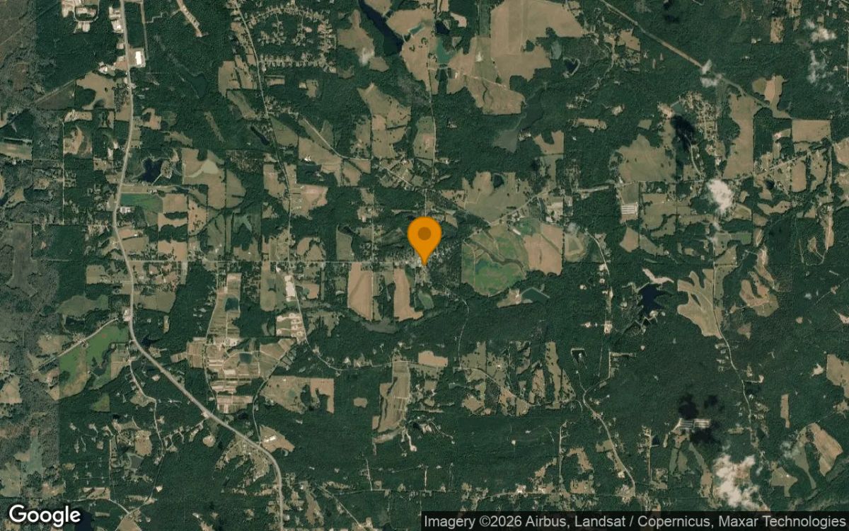 0.25 Acres in Meansville - Pike County, GA - Image 3