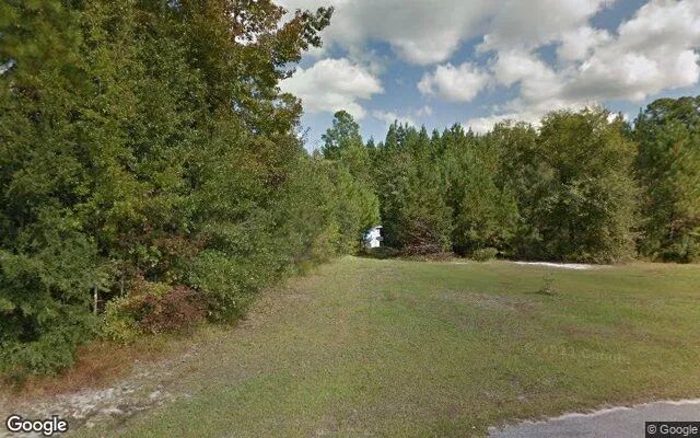 0.14 Acres in Springfield - Effingham County, GA in Effingham County, GA