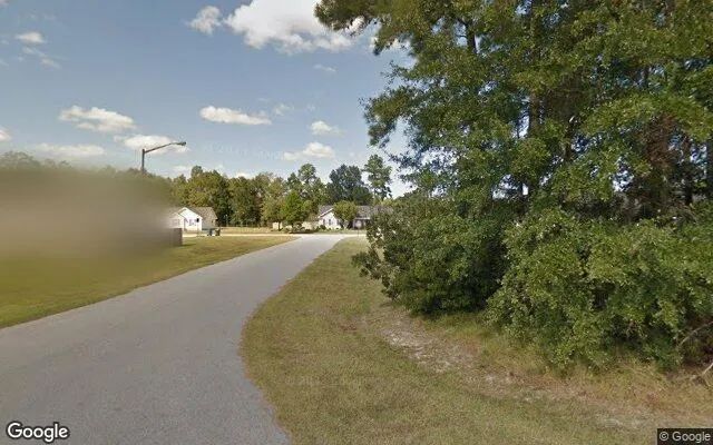 Decorative background for 0.14 Acres in Springfield - Effingham County, GA image 5