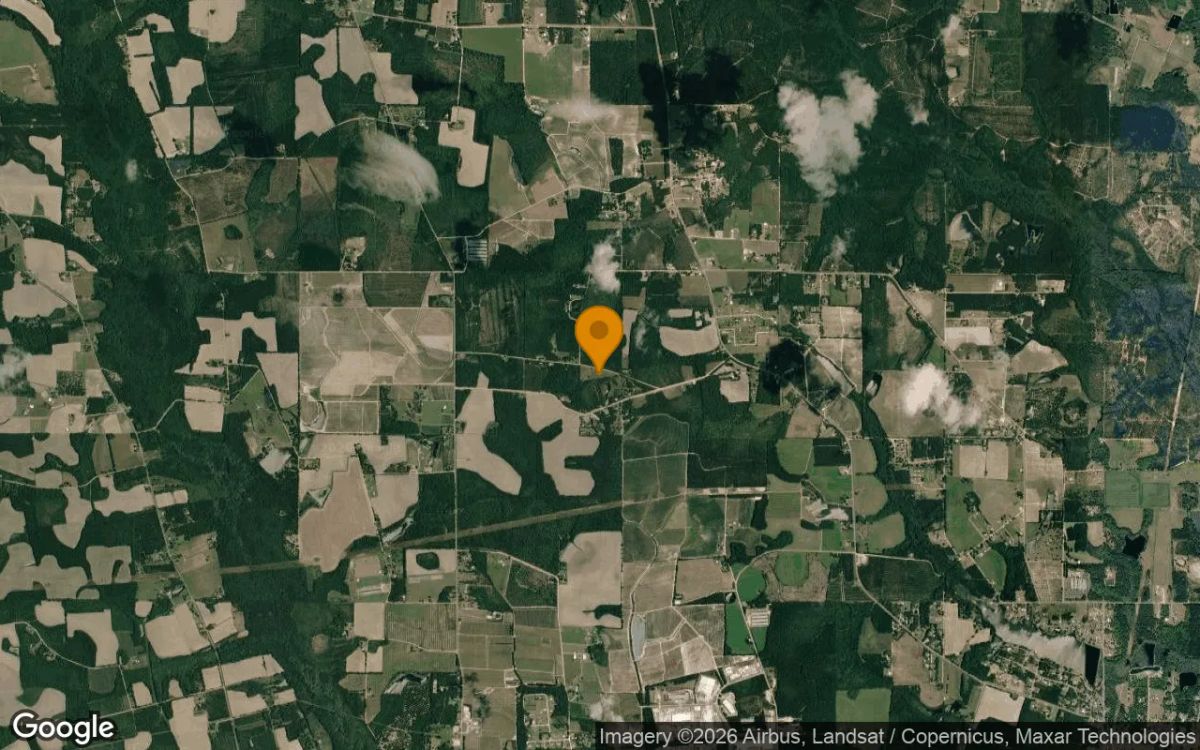 7.52 Acres in Alma - Bacon County, GA - Image 3