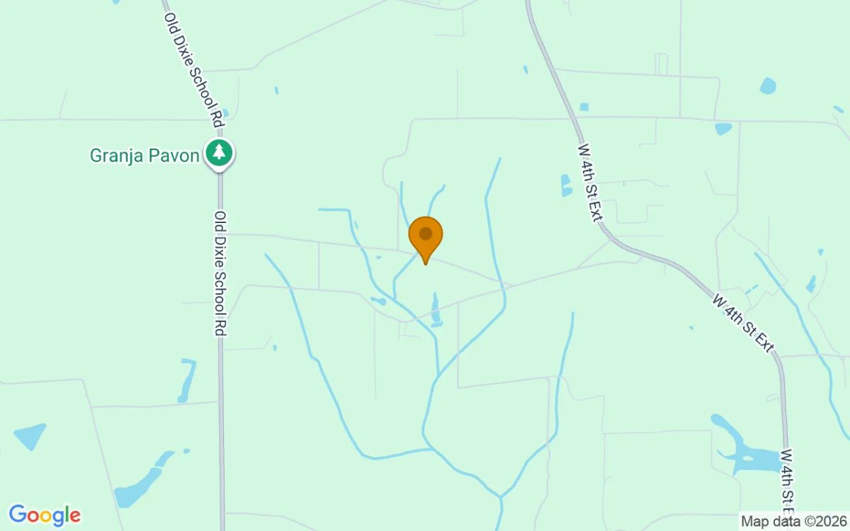 7.52 Acres in Alma - Bacon County, GA - Image 4