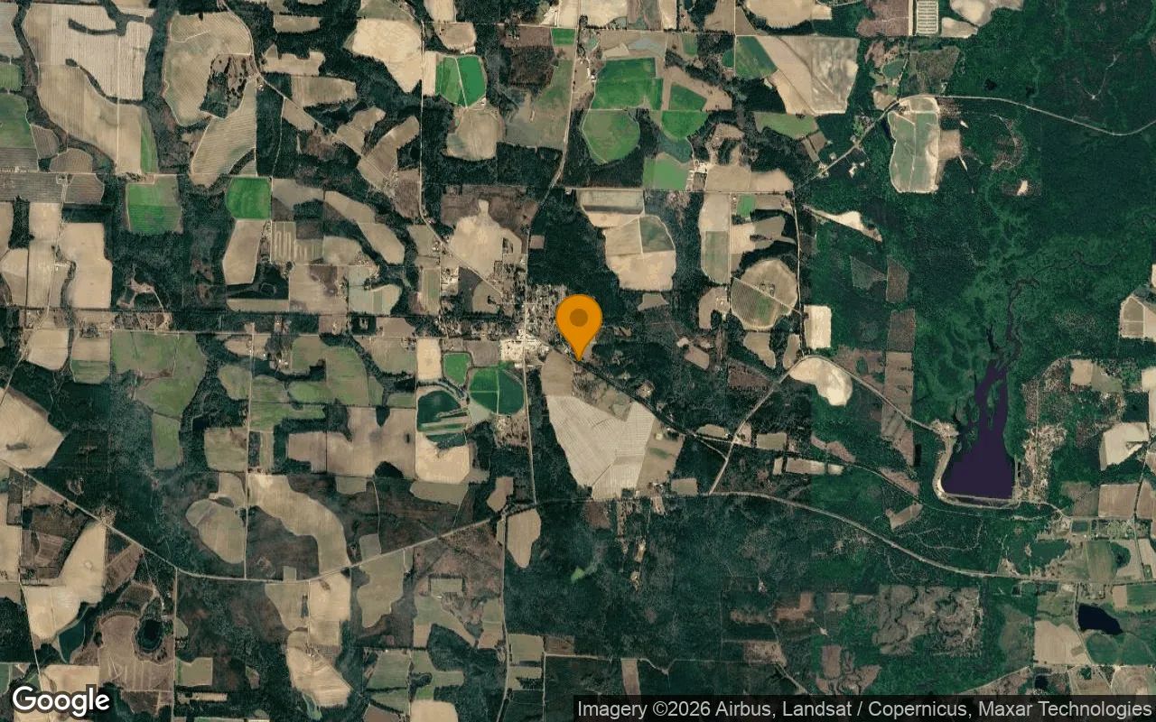 0.38 Acres in Ellenton - Colquitt County, GA in Colquitt County, GA