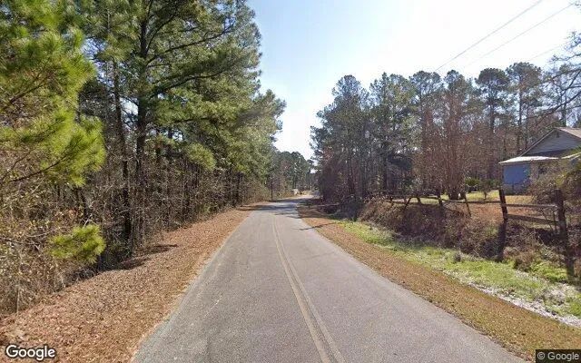 Decorative background for 0.54 Acres in Scotland - Telfair County, GA image 5