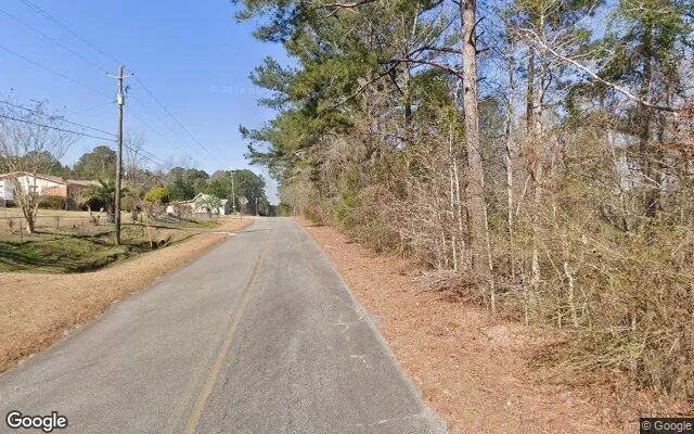 Decorative background for 0.54 Acres in Scotland - Telfair County, GA image 6