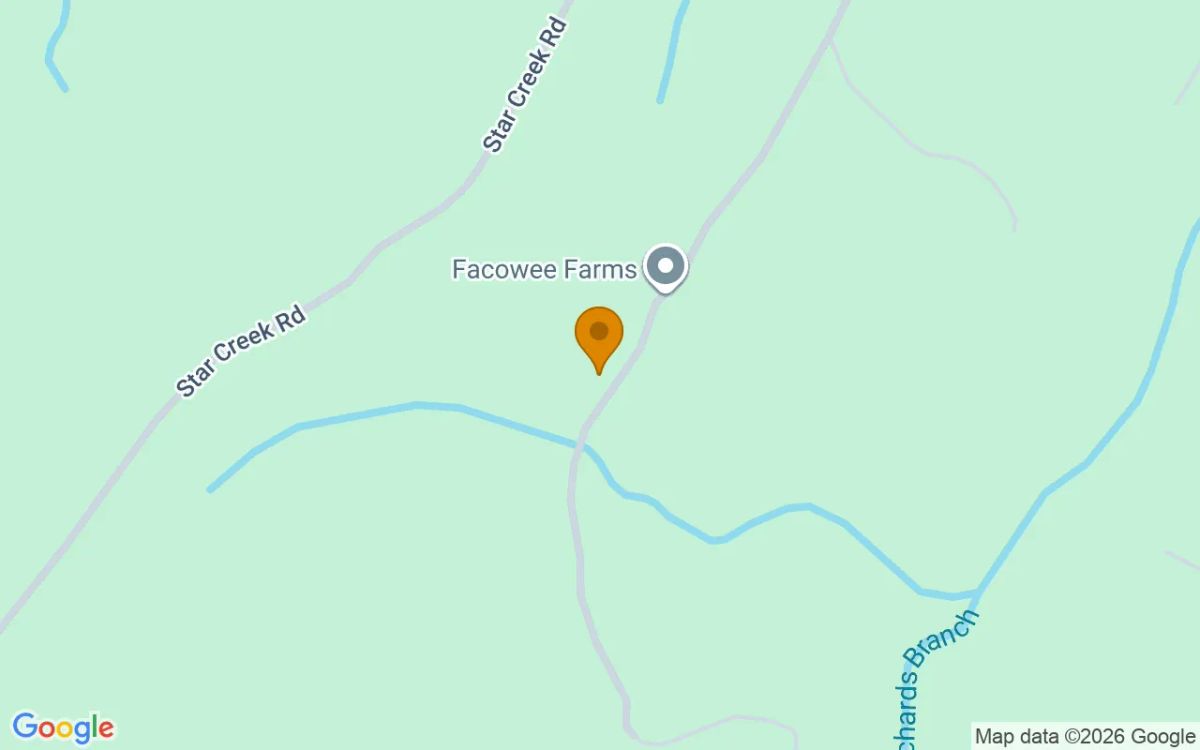 1.37 Acres in Morganton - Fannin County, GA - Image 2