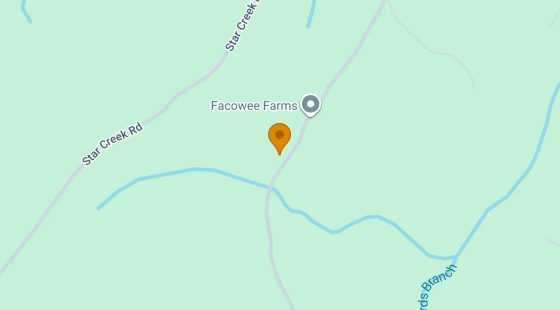 1.37 Acres in Morganton - Fannin County, GA in Fannin County, GA