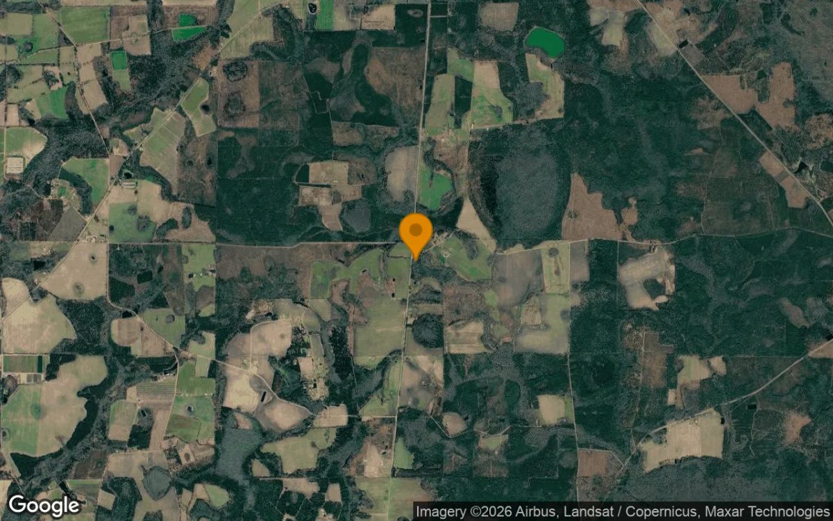 3.49 Acres in Alapaha - Berrien County, GA - Image 3