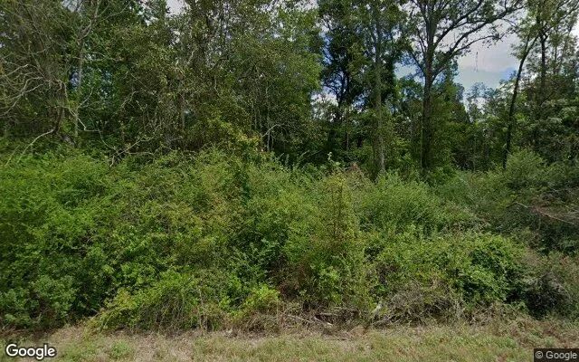 3.49 Acres in Alapaha - Berrien County, GA - Image 4