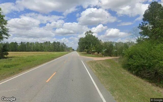 Decorative background for 3.49 Acres in Alapaha - Berrien County, GA image 5