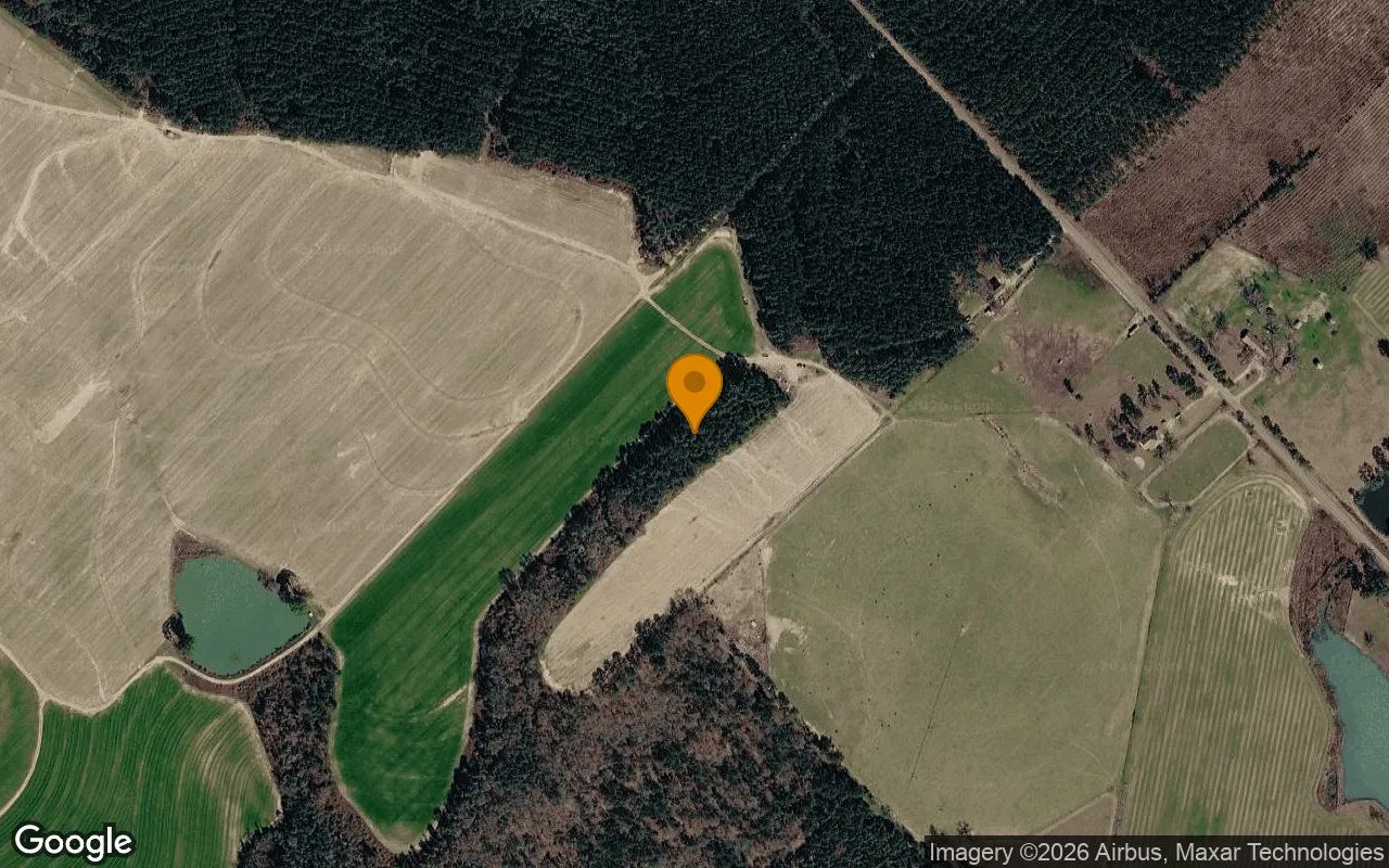 74.93 Acres in Eastman - Dodge County, GA in Dodge County, GA