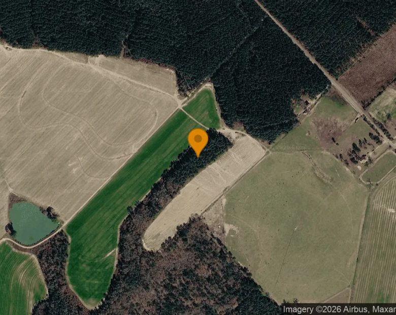 74.93 Acres in Eastman - Dodge County, GA in Dodge County, GA