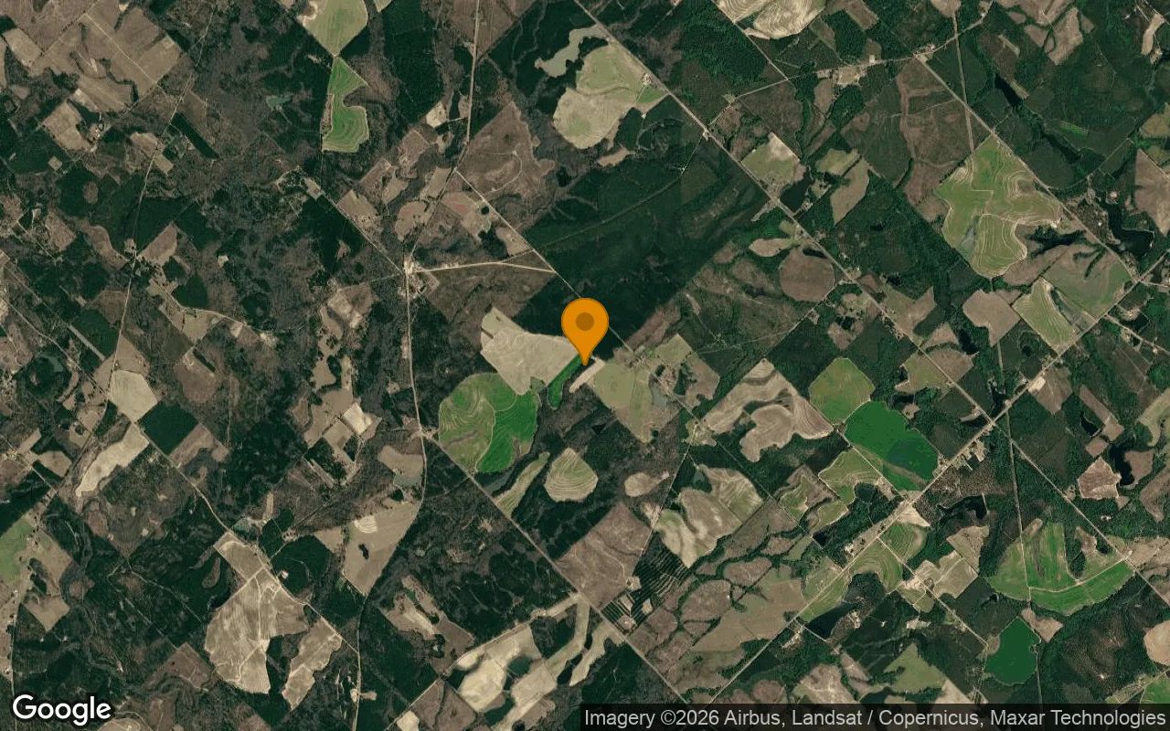 74.93 Acres in Eastman - Dodge County, GA in Dodge County, GA