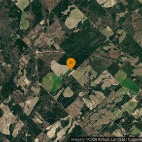 74.93 Acres in Eastman - Dodge County, GA in Dodge County, GA