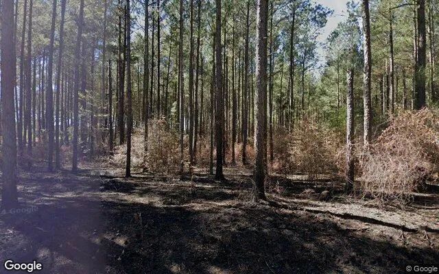 74.93 Acres in Eastman - Dodge County, GA in Dodge County, GA
