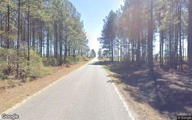 Decorative background for 74.93 Acres in Eastman - Dodge County, GA image 5