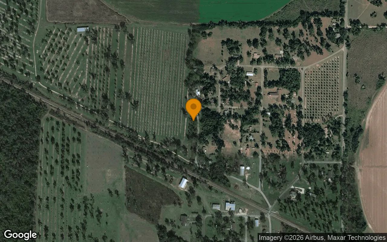 0.29 Acres in Brinson - Decatur County, GA in Decatur County, GA