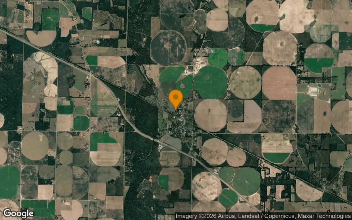 0.29 Acres in Brinson - Decatur County, GA - Image 3