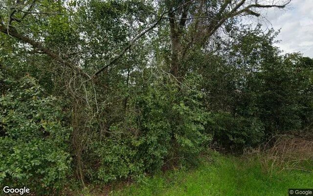 0.29 Acres in Brinson - Decatur County, GA in Decatur County, GA