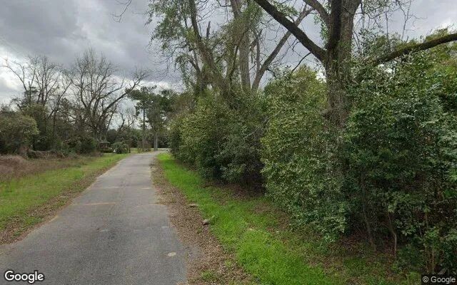 Decorative background for 0.29 Acres in Brinson - Decatur County, GA image 5