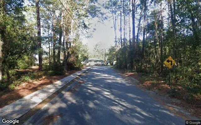 Decorative background for 0.66 Acres in Allenhurst - Liberty County, GA image 5
