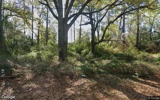 0.55 Acres in Albany - Dougherty County, GA - Image 4