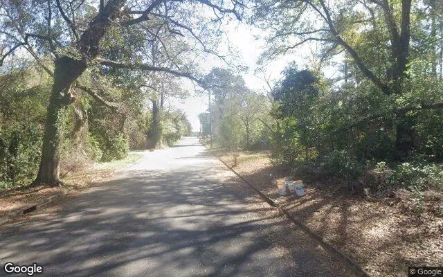 Decorative background for 0.55 Acres in Albany - Dougherty County, GA image 5