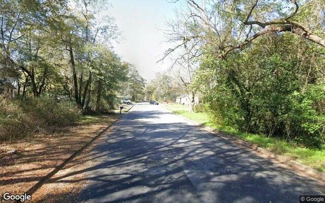 Decorative background for 0.55 Acres in Albany - Dougherty County, GA image 6