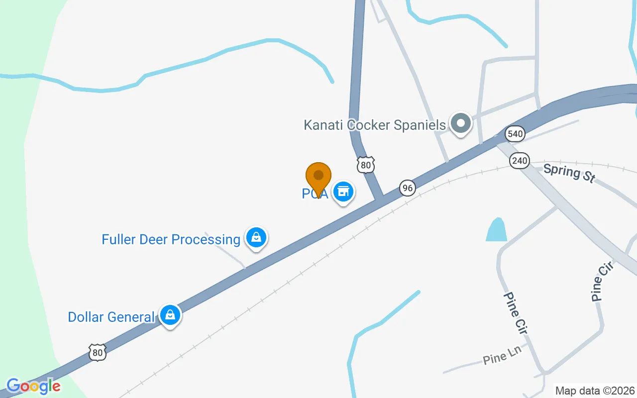 0.39 Acres in Geneva - Talbot County, GA in Talbot County, GA