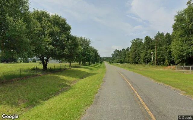 Decorative background for 0.63 Acres in Lilly - Dooly County, GA image 5