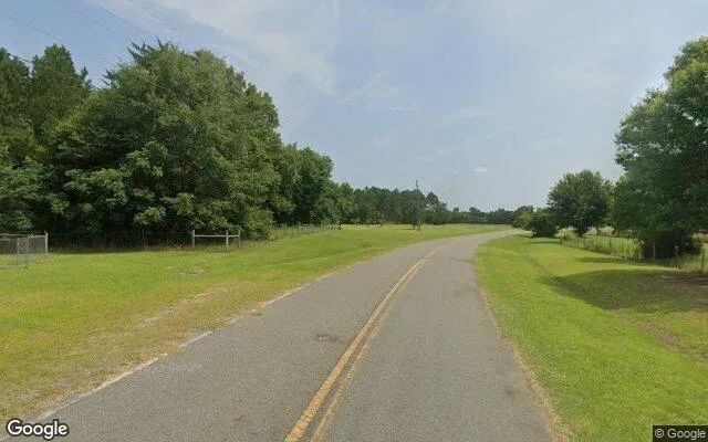Decorative background for 0.63 Acres in Lilly - Dooly County, GA image 6
