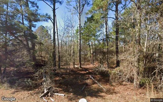 0.1 Acres in Rockledge - Laurens County, GA - Image 4