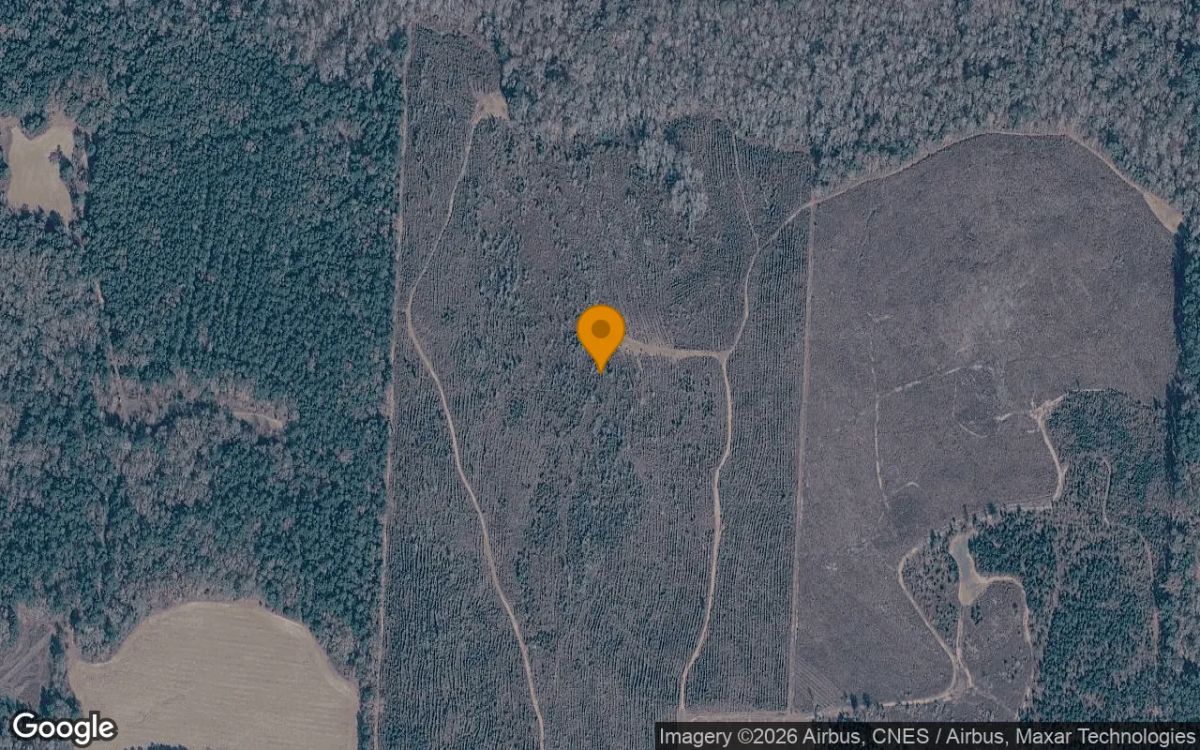 125.06 Acres in Bartow - Washington County, GA - Main image