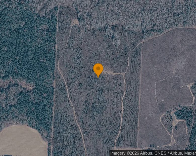 125.06 Acres in Bartow - Washington County, GA in Washington County, GA