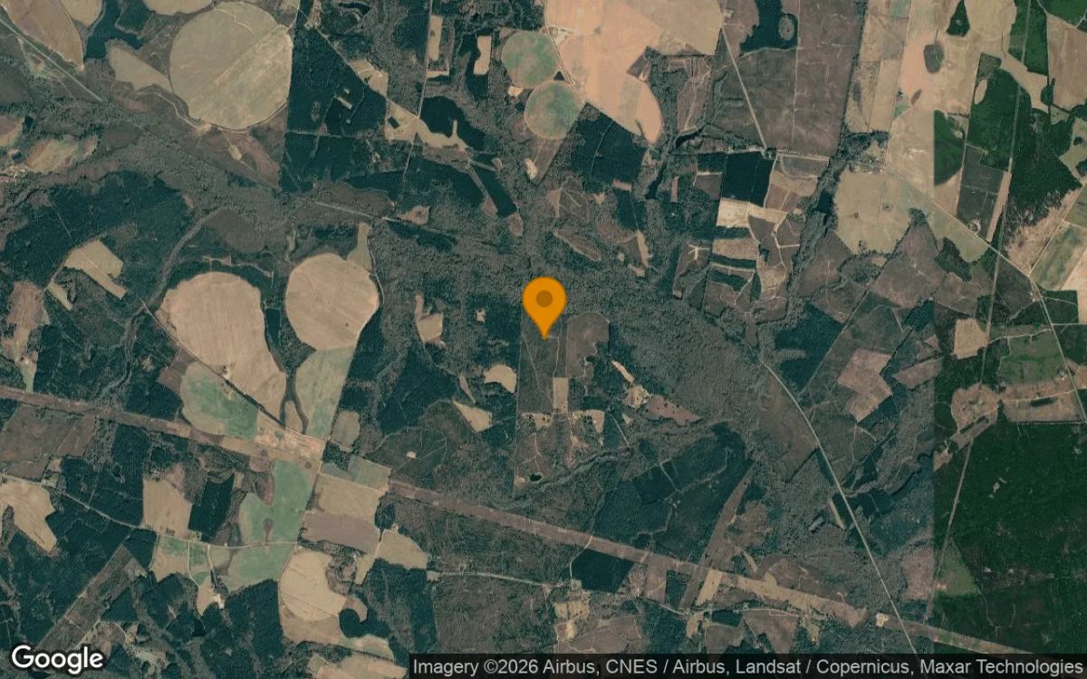 125.06 Acres in Bartow - Washington County, GA - Image 3