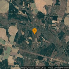 125.06 Acres in Bartow - Washington County, GA in Washington County, GA