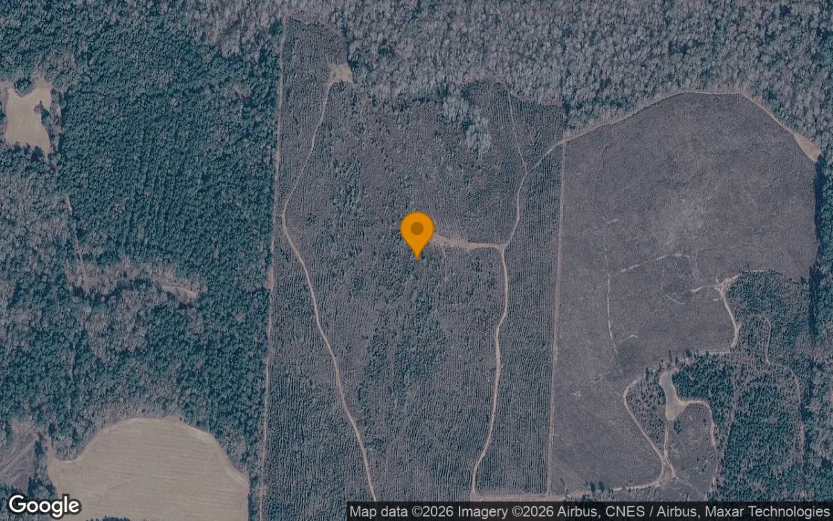 Decorative background for 125.06 Acres in Bartow - Washington County, GA image 6