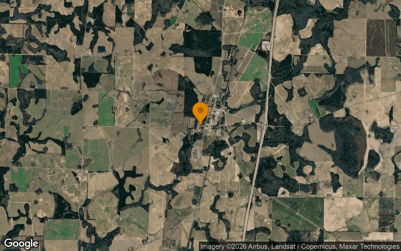 0.24 Acres in Pinehurst - Dooly County, GA in Dooly County, GA
