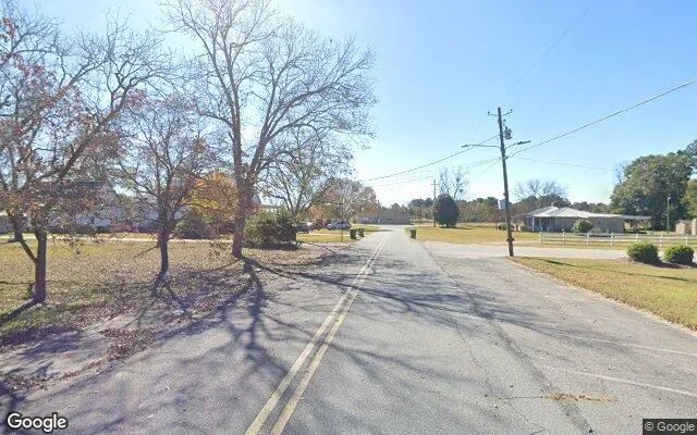 Decorative background for 0.24 Acres in Pinehurst - Dooly County, GA image 6