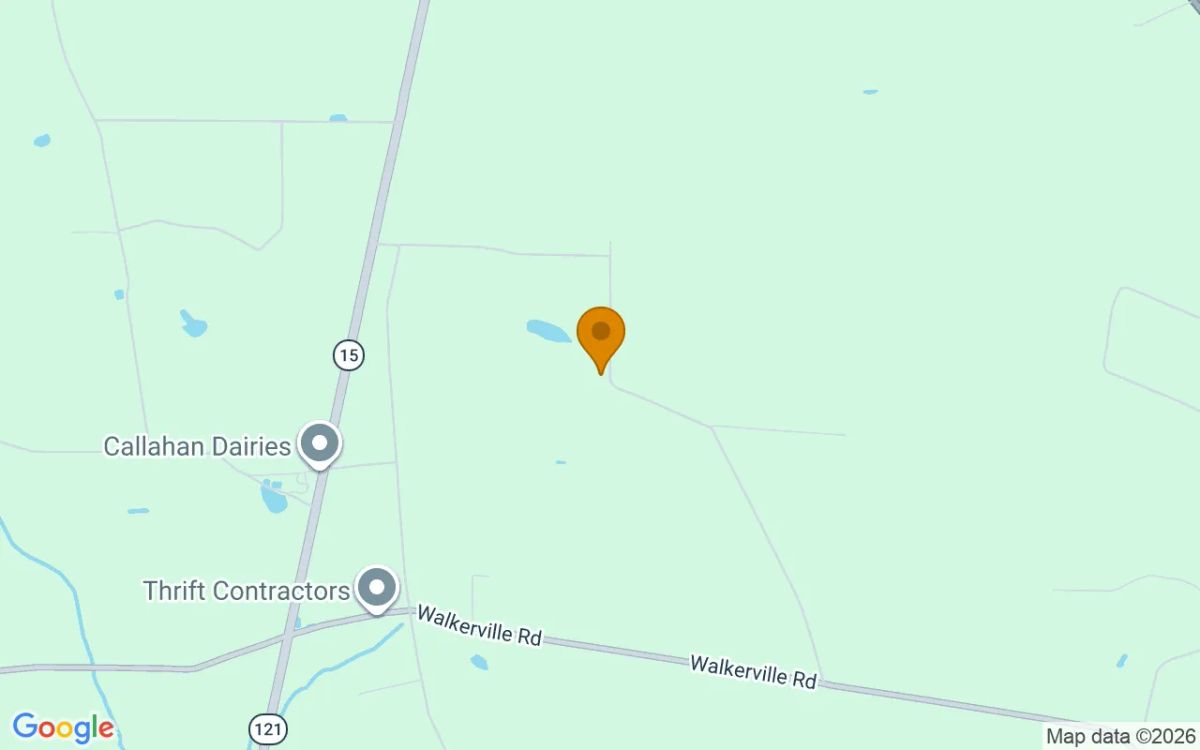 1.97 Acres in Mershon - Pierce County, GA - Image 4