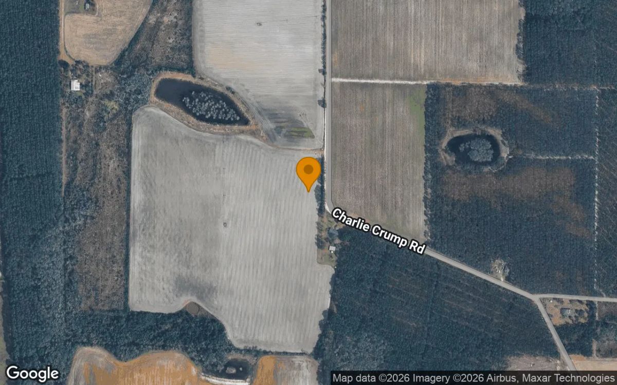 Decorative background for 1.97 Acres in Mershon - Pierce County, GA image 6