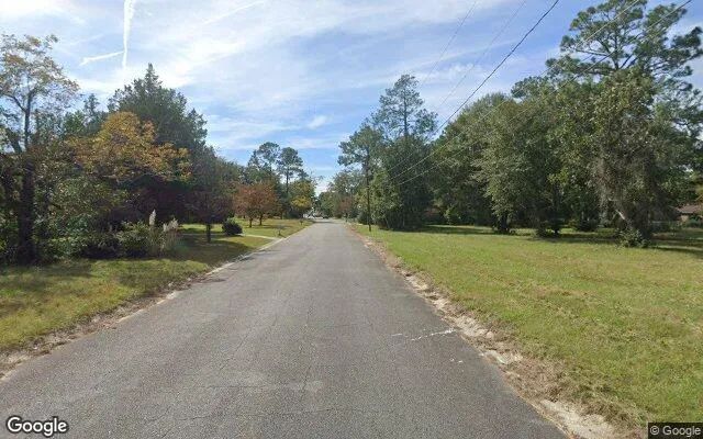 Decorative background for 0.55 Acres in Waycross - Ware County, GA image 6