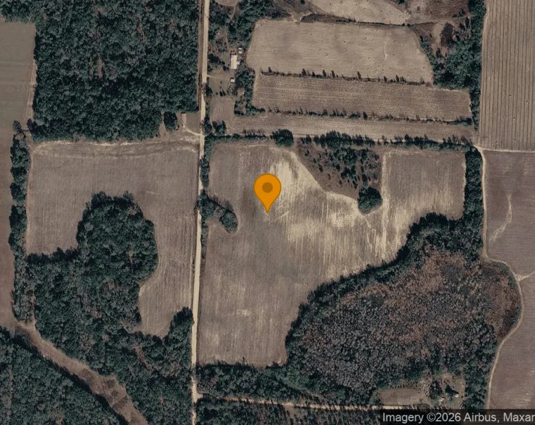14.97 Acres in Blakely - Early County, GA in Early County, GA