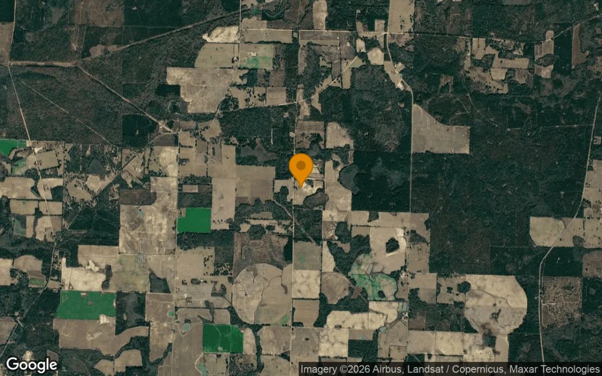 14.97 Acres in Blakely - Early County, GA - Image 3