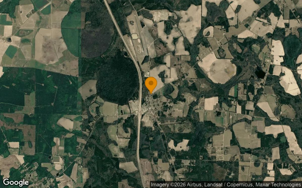 0.27 Acres in Cecil - Cook County, GA - Image 3
