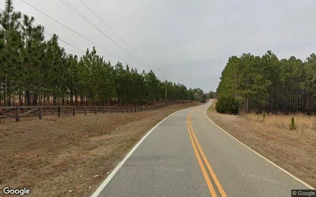 Decorative background for 1.5 Acres in Lyons - Toombs County, GA image 6